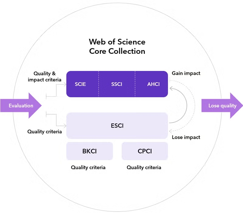 得辅学术 文章配图