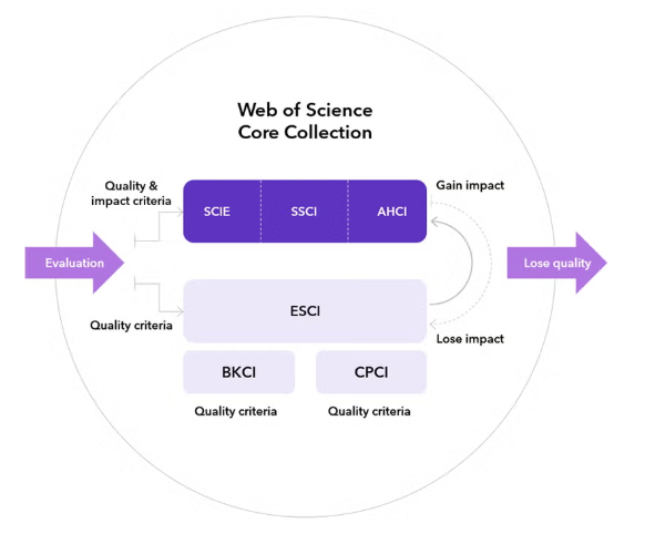 得辅学术 文章配图