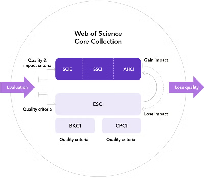 得辅学术 文章配图