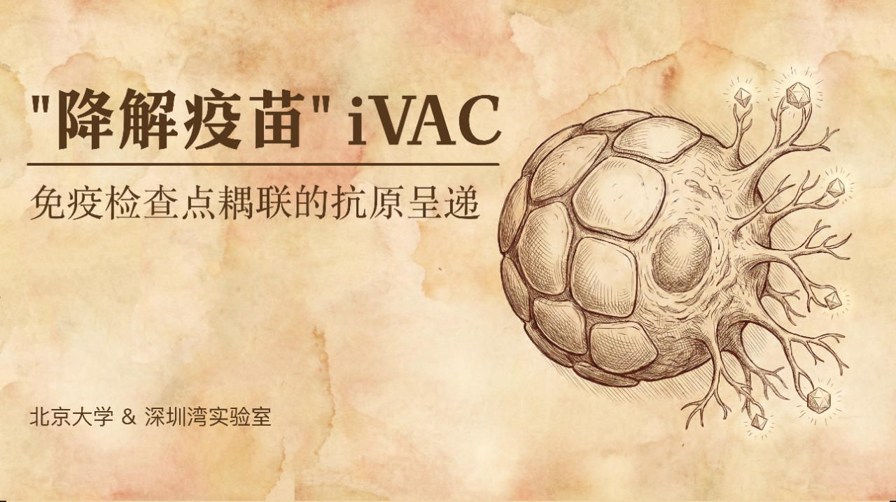 《Nature》：抗癌疫苗大突破！北大团队开发全新癌症疫苗